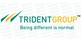 Trident Ltd commissions expanded capacity of sheeting business and co-gen power plant